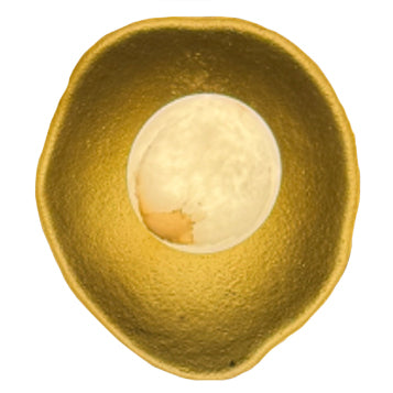 Vesta Wall Light Series