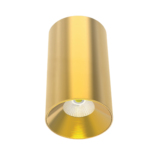 LC307 12W Surface Mounted Downlight CCT Brass 200mm