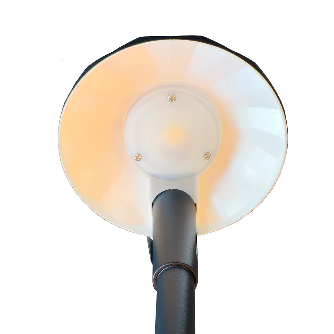 Flora LED Spike Light