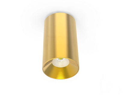 LC309 12W Surface Mounted Downlight CCT Brass 140mm