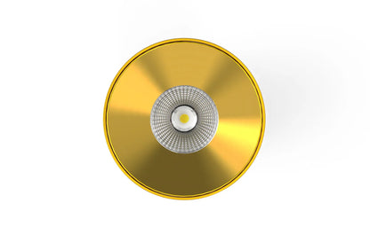 LC309 12W Surface Mounted Downlight CCT Brass 140mm