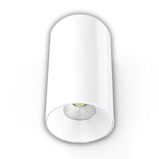 LC309 12W Surface Mounted Downlight CCT White 140mm