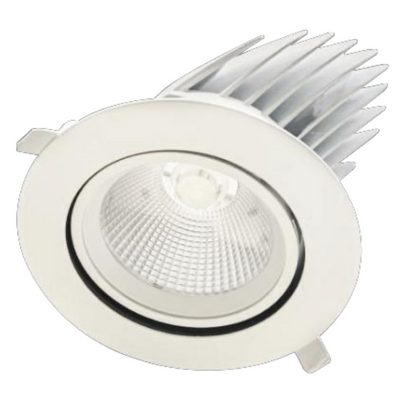 Infinite 112 - 25W Shoplighter Downlight