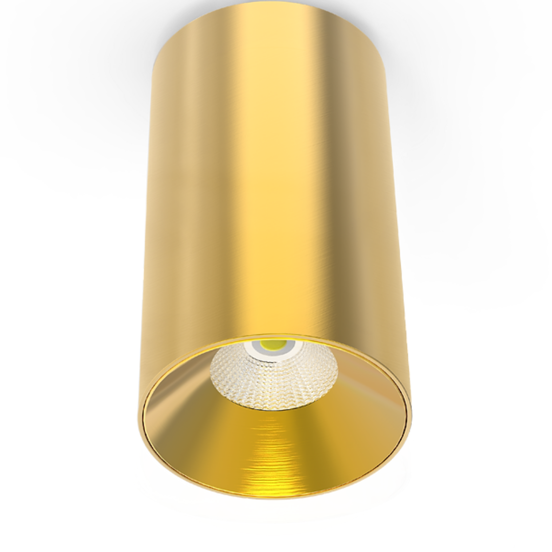 LC307 12W Surface Mounted Downlight CCT Brass 200mm